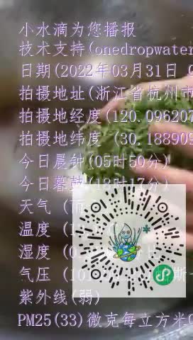 FgSs-gEB2Il6uatUQKw3dMn5sDD_mp4