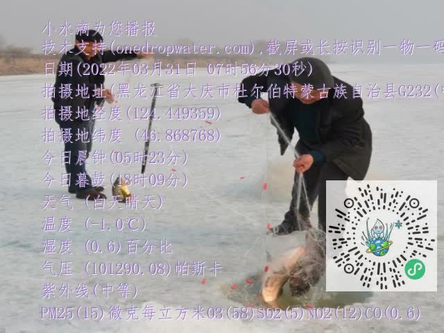 0.mp4