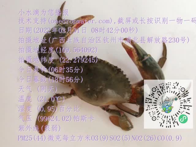 0.mp4