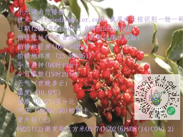 0.mp4