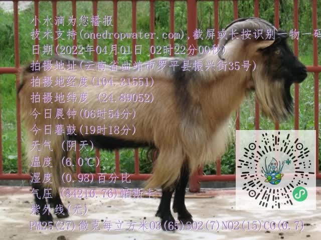 0.mp4
