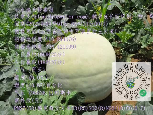 0.mp4