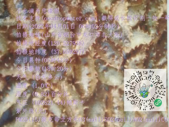 0.mp4