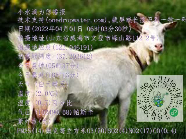 0.mp4
