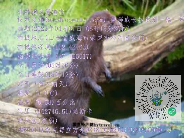 0.mp4