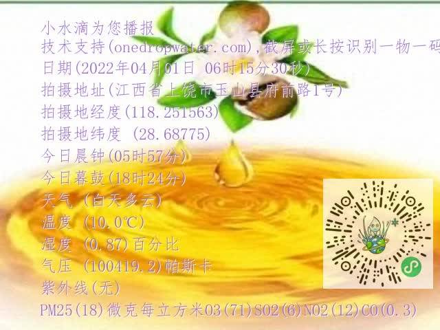 0.mp4