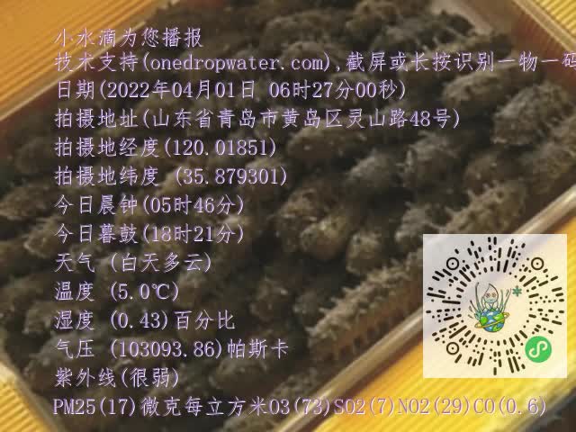 0.mp4
