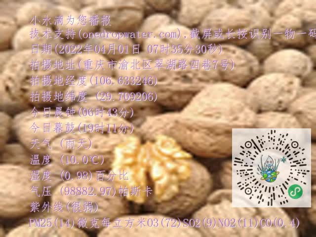 0.mp4