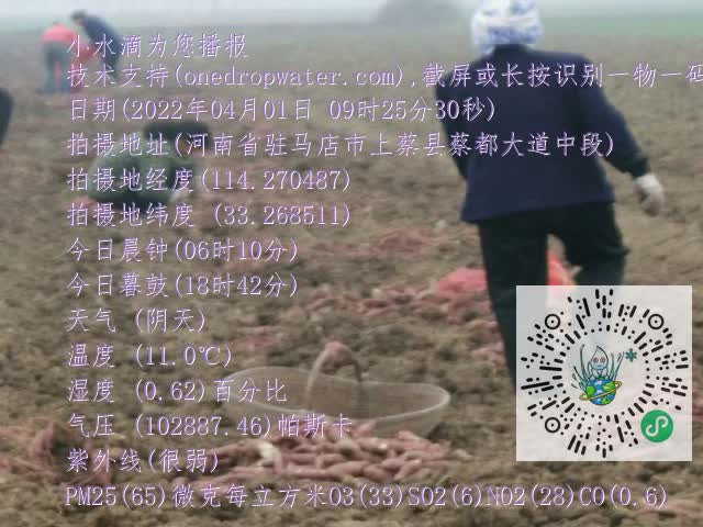 0.mp4