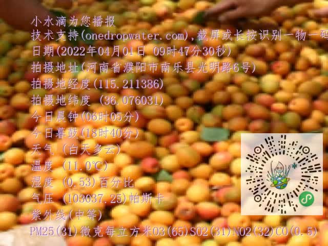 0.mp4