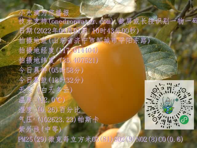 0.mp4