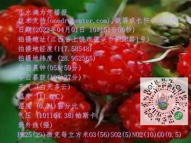 0.mp4