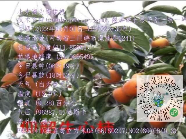 0.mp4