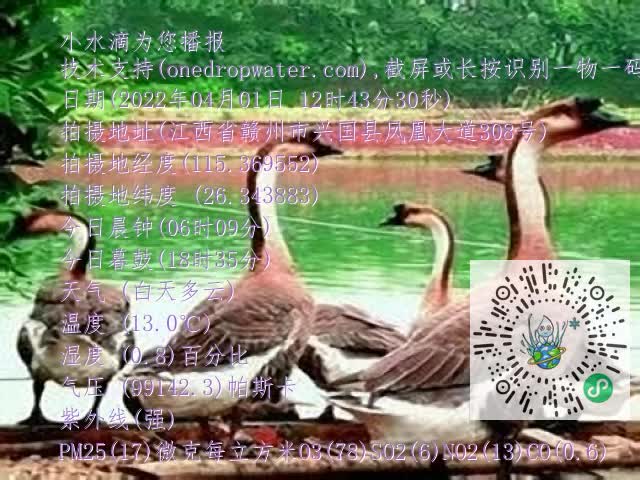 0.mp4