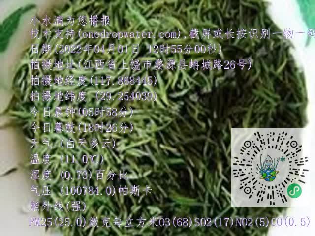 0.mp4