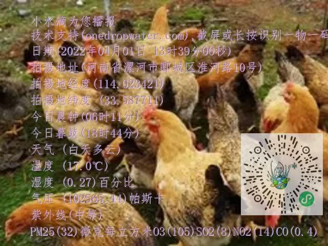 0.mp4