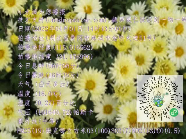 0.mp4