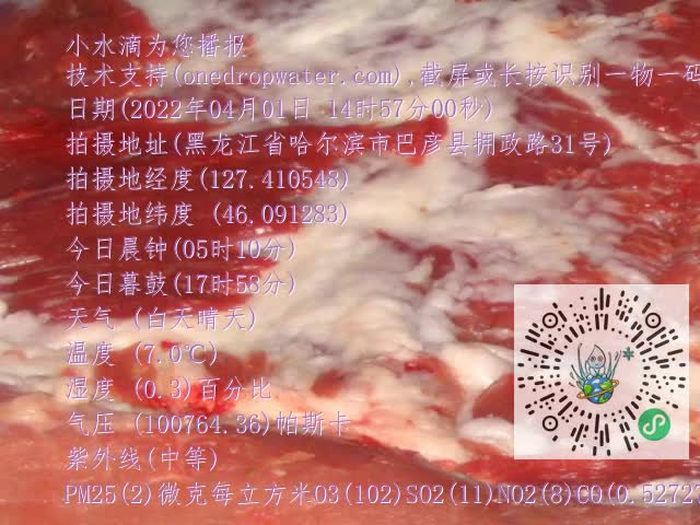 0.mp4