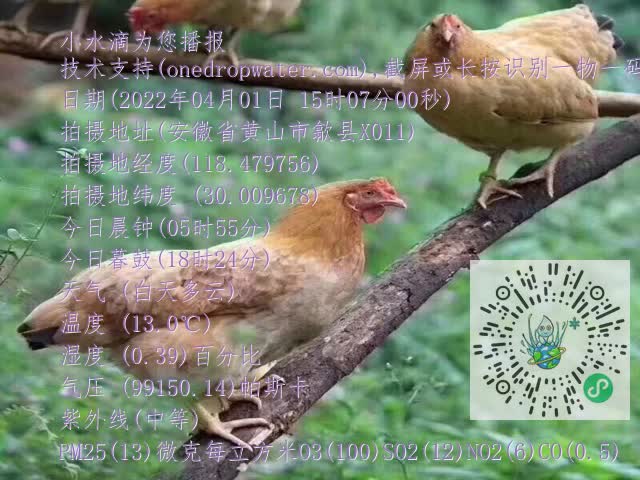 bc183d5cd9b8817688c971b5abad9dc1.mp4