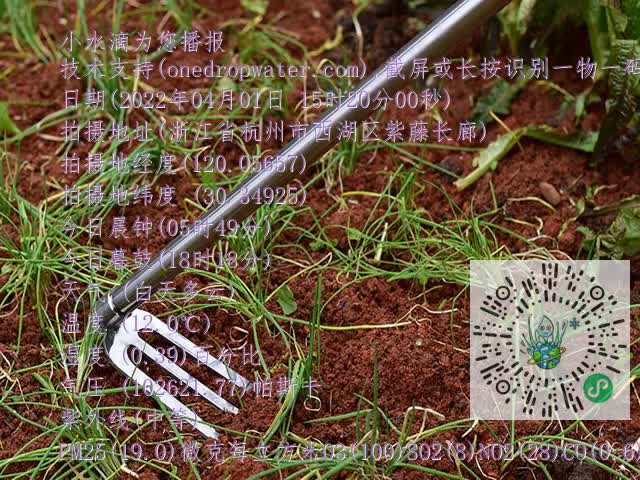 646deb1fa77b727e3d3958f3df742d7b.mp4