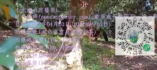 FiAJRcT5PHEI2vGCBmwszrcONZTlmp4