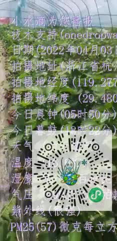 ljxQELjHD_-ZdlviSWn4PobigmbFmp4