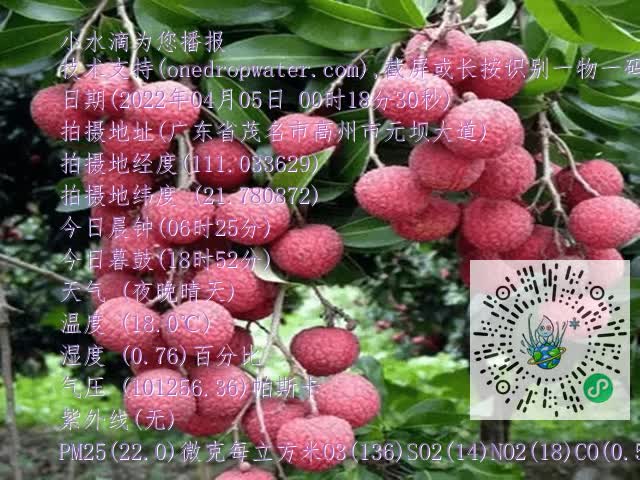 fa89a57207479821c701b64d8ff32aa6.mp4