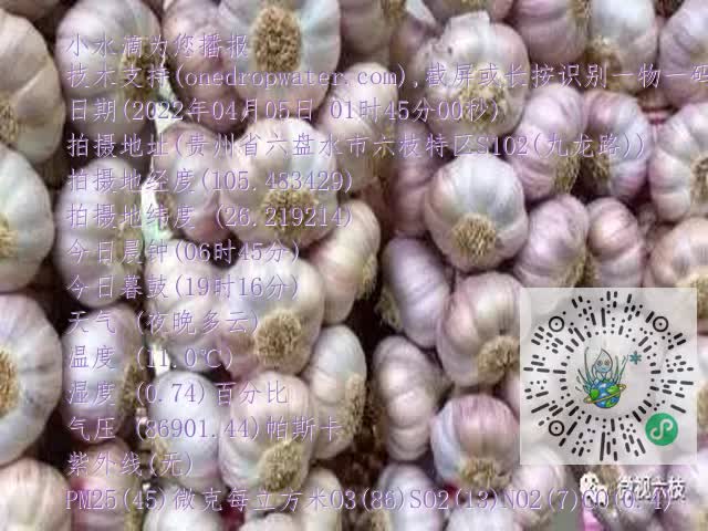 0.mp4