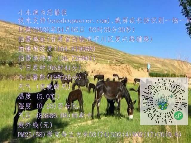 0.mp4