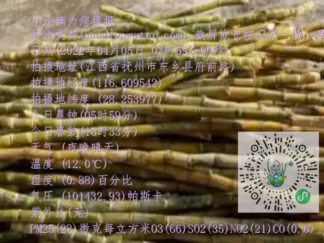 0.mp4