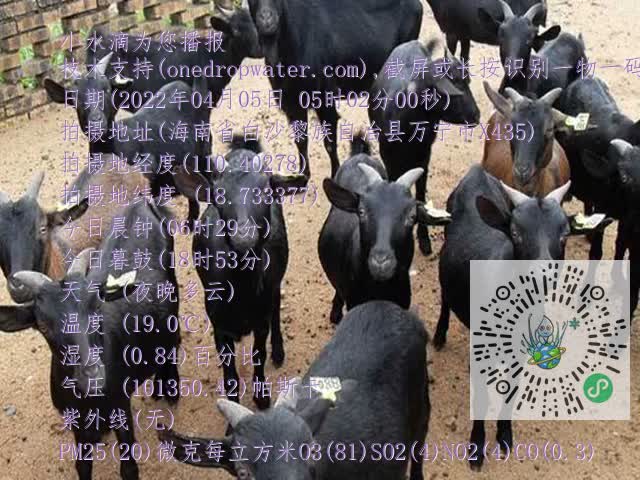0df6b02a845ca5a6ab241ea637f45922.mp4
