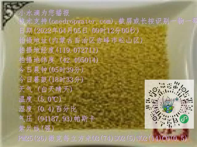 0.mp4