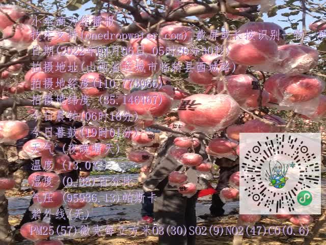 0.mp4
