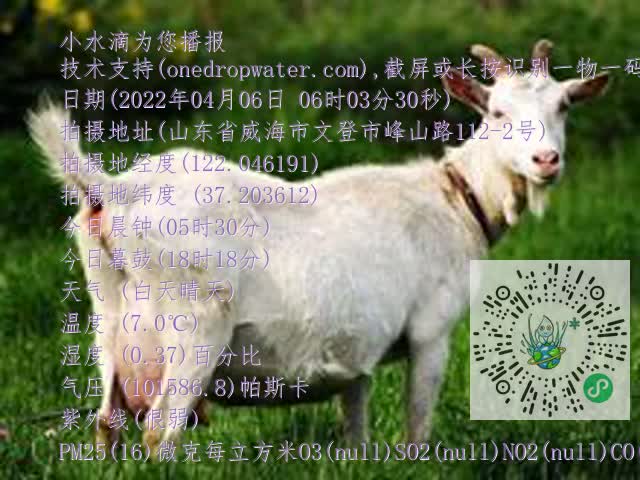 0.mp4