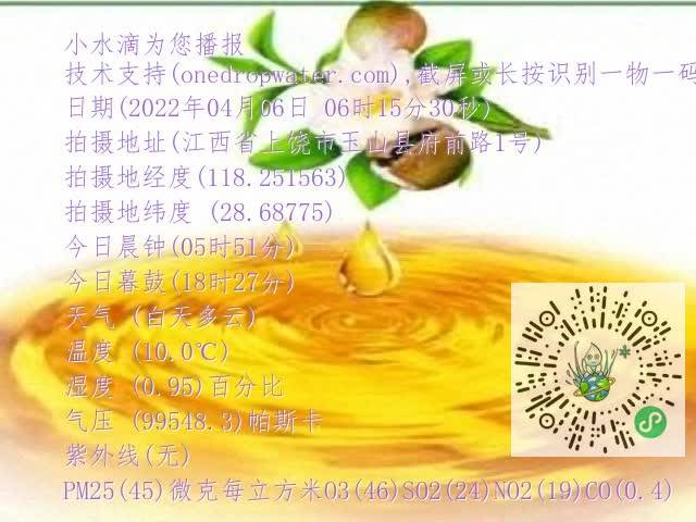 0.mp4