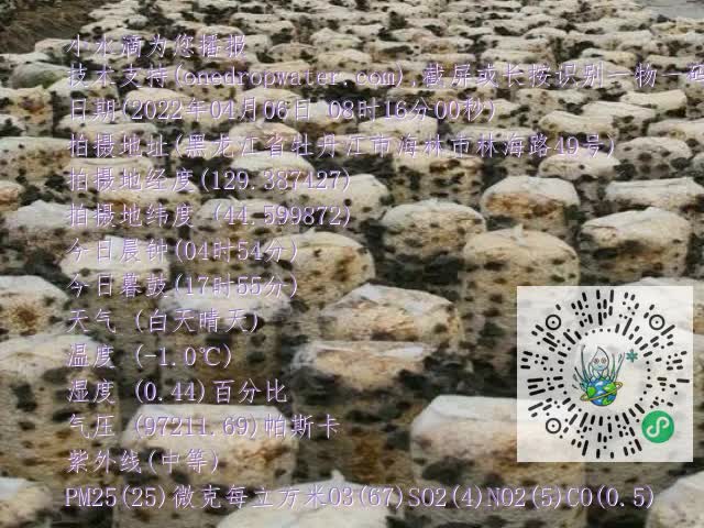 0.mp4