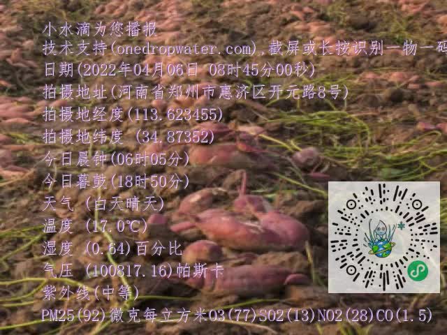 0.mp4
