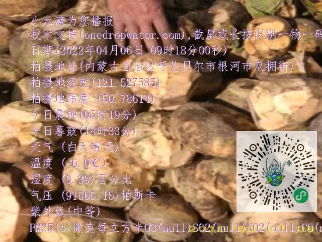 0.mp4