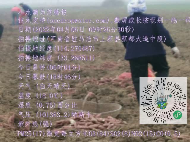 0.mp4