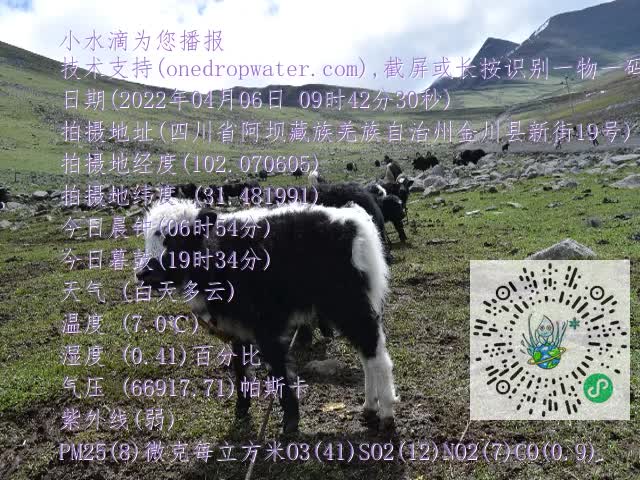 0.mp4
