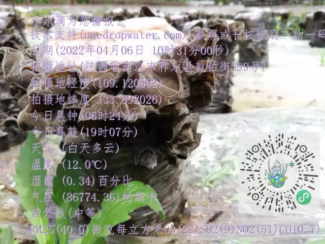 0.mp4