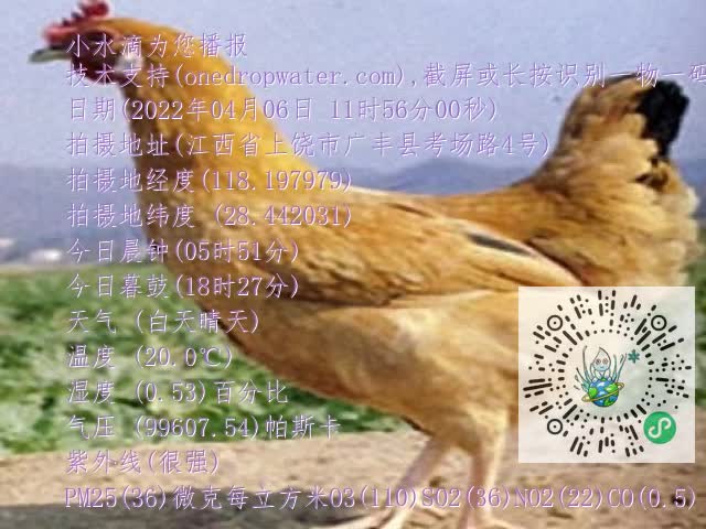 0.mp4