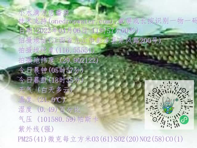 0.mp4