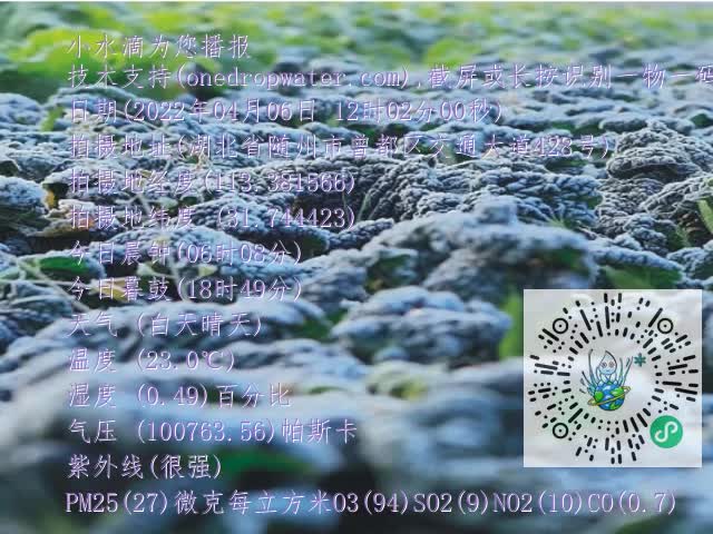 0.mp4