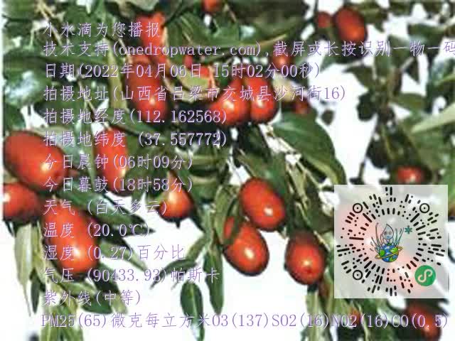 0.mp4