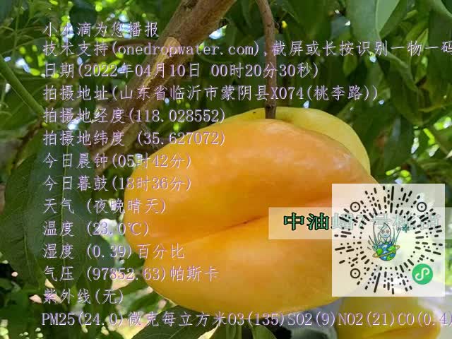 ca787f73a8798aa43d40934c56412274.mp4