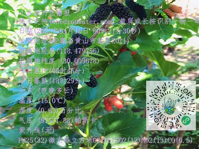 18053b670e2cd33b08f50659850fbd57.mp4