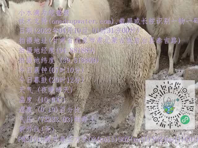 0.mp4