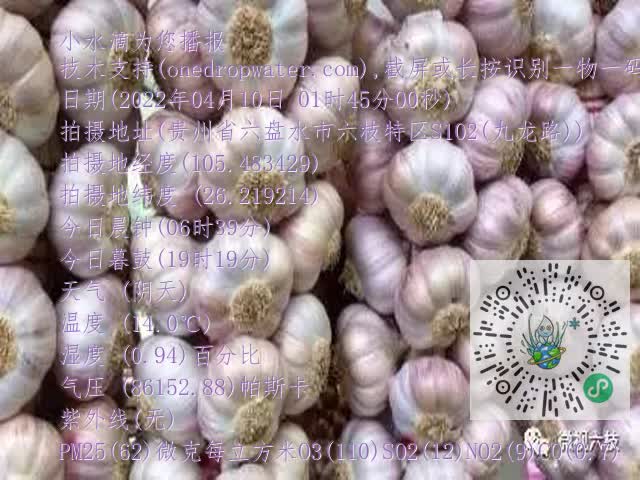 0.mp4