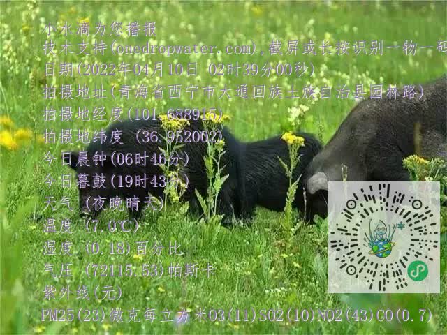 0.mp4